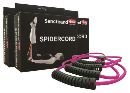 Sanctband SpiderCode Purple