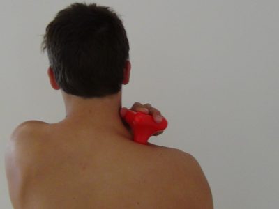 Trapezium Muscle_1