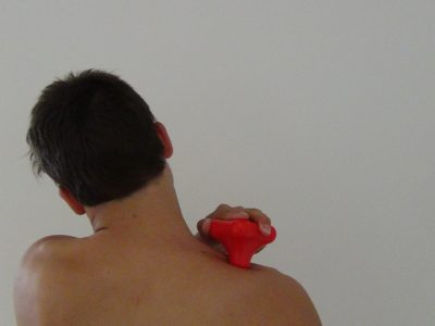 Trapezium Muscle_2