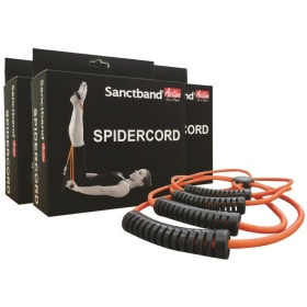 Sanctband SpiderCode Purple