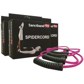 Sanctband SpiderCode Purple