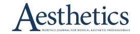Aesthetics-Journal-Logo-121.jpg