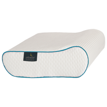 Pillowise pillow (4 Blue)