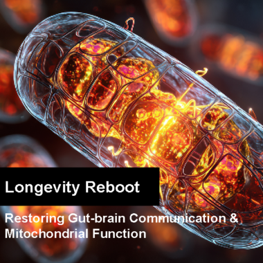 Longevity Reboot: Restoring Gut-Brain Communication & Mitochondrial Function