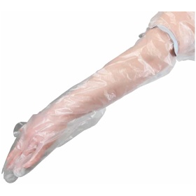 SealBand_Leg_1